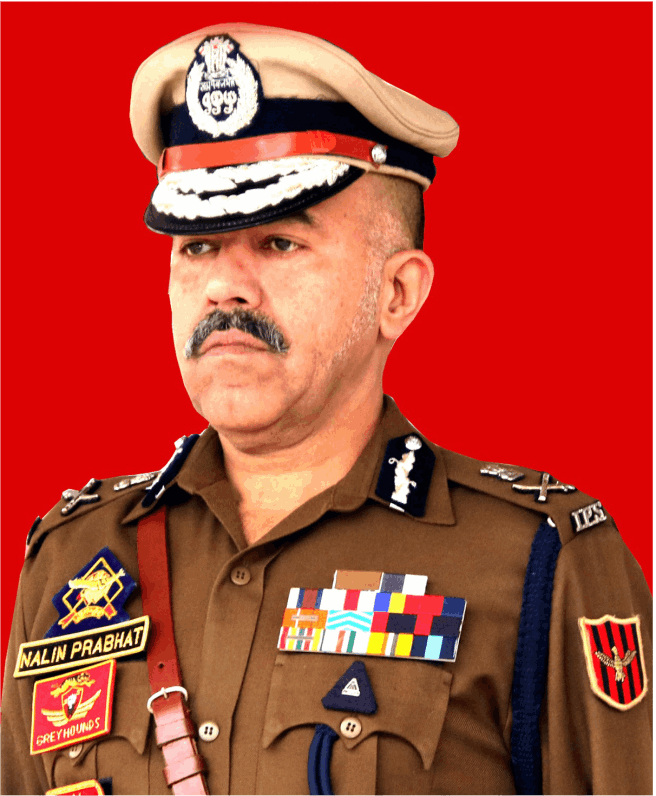 DGP